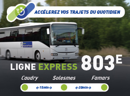 Profitez de la ligne 803 express !